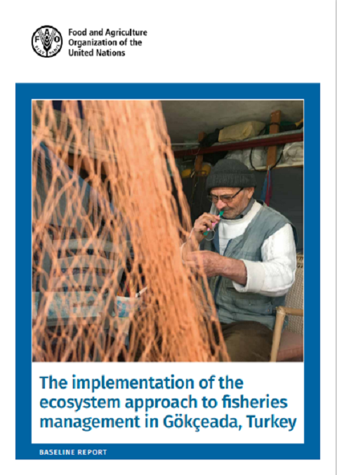 Gökçeada Balıkçılığı İle İlgili FAO Raporu Yayınlandı